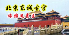 欧美亚性交图片中国北京-东城古宫旅游风景区